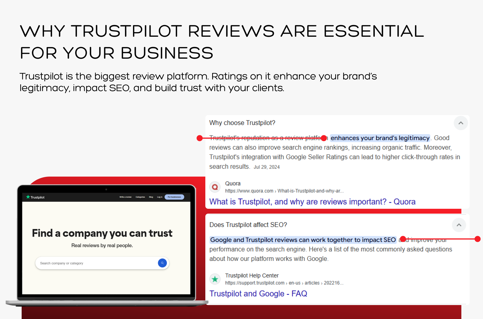 Trustpilot review profile growth example